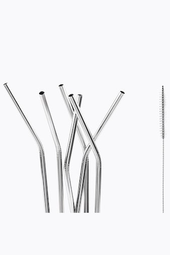 Motta 6 Stainless Steel Straws with Brush