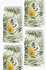Gorilla Espresso Impianto pack économique 4 kg
